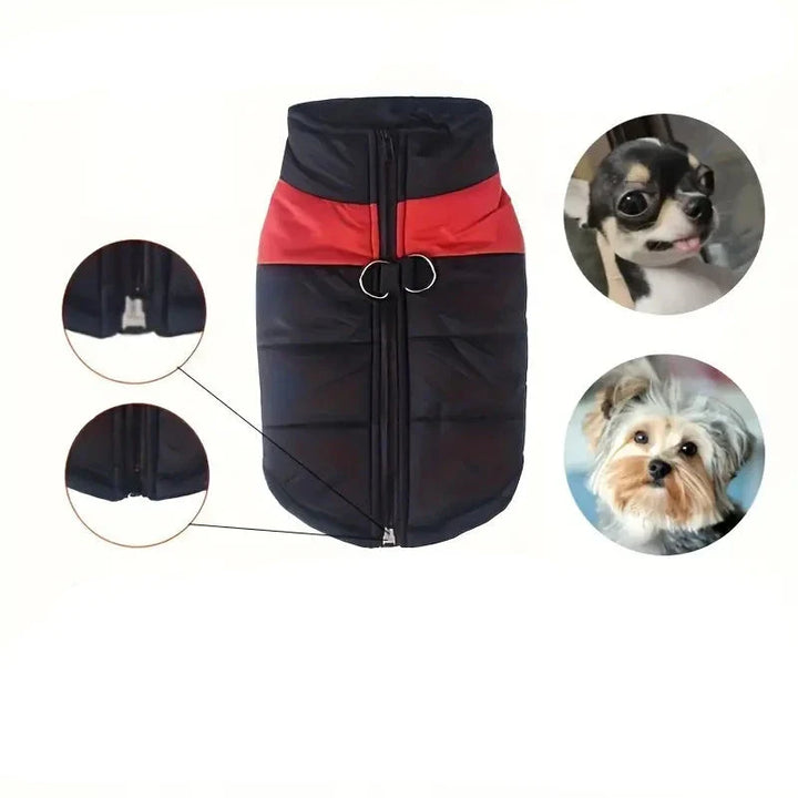 StormPup | Waterproof Dog Jacket with Back Zipper and Quality Filling