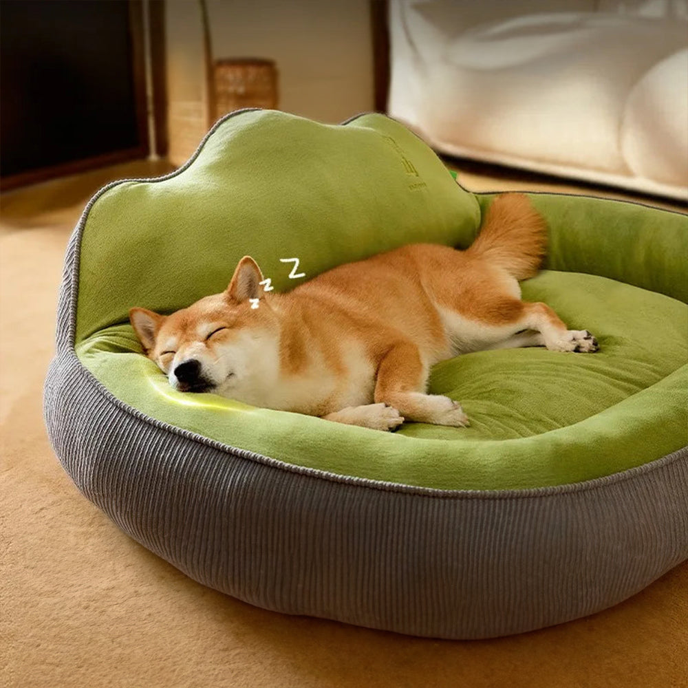 ComfortKat | Plush Cushion for House Cats