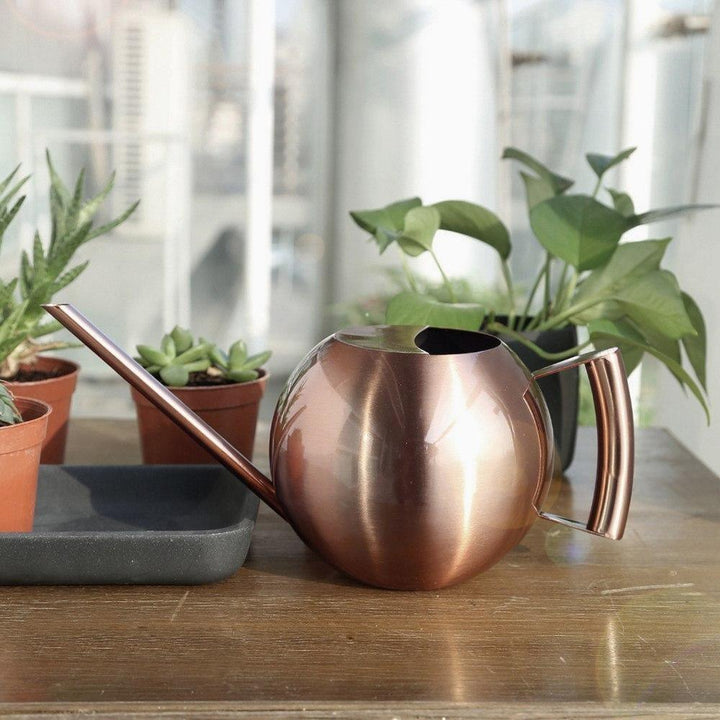 FlowStream - Slim Watering Can with Precise Spout - Durable Metal Watering Can for Houseplants