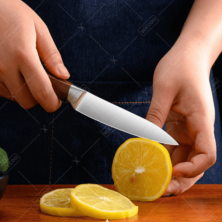 SushiMaster | Professional Japanese Santoku Knife