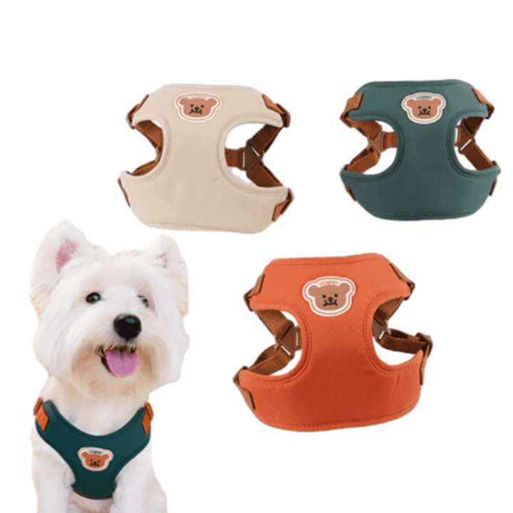BearHugFit | Cute Adjustable Harness & Leash