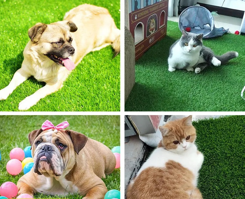 PawLawn | Indoor/Outdoor Dog Grass Mat with Leak Protection