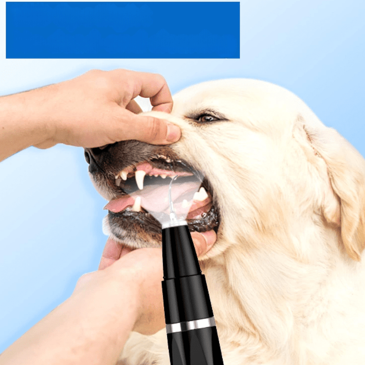 PawClean | Portable Paw Cleaner for Pets