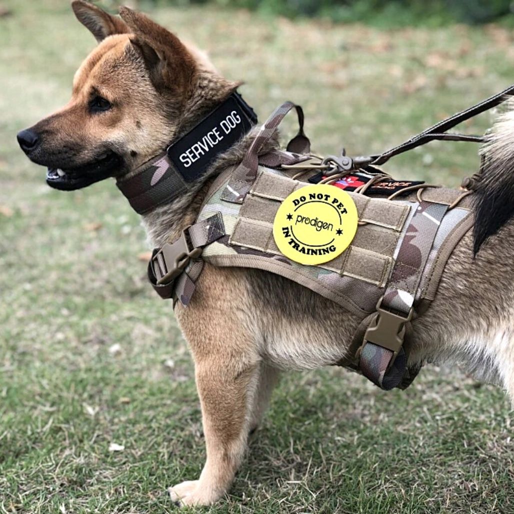 ComfortPaw | Adjustable Tactical Safety Harness for Dogs