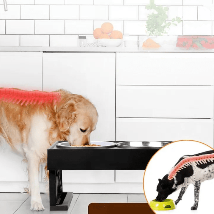 MealMate | Elevated Dog Bowl with Mat