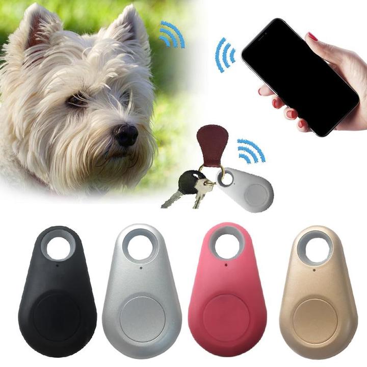 PetSafeGPS | Mini GPS Tracker for Pets