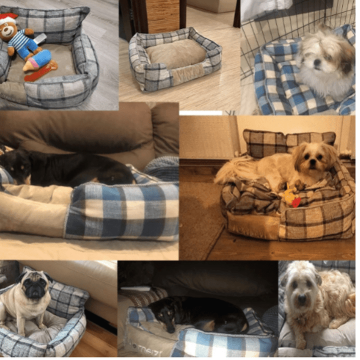 ComfortCushion | Portable Dog and Cat Bed for All Seasons