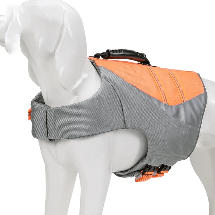 SplashSafe | Pet-Friendly Life Jacket for Water Adventures