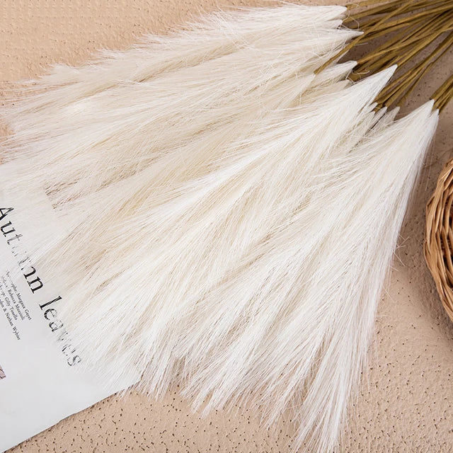 BloomFluff | Luxe Fluffy Pampas Flowers