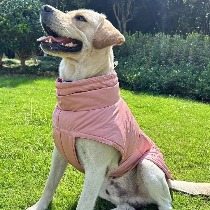 ProtectPaws | Ultimate Foot Protection for Pets