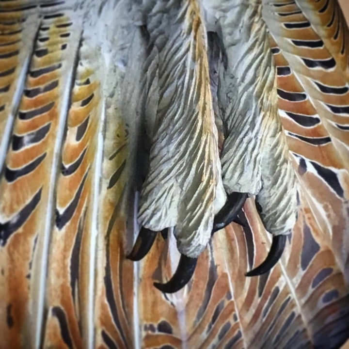 OwlGaze Handmade Barn Owl Wall Sculpture - Carefully Painted, Durable, UV-Protected