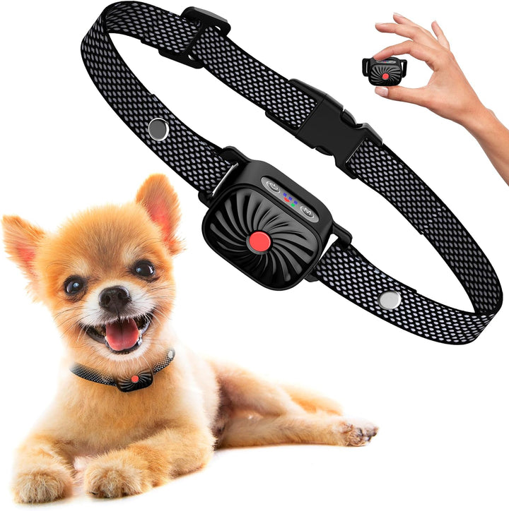 QuietPaw | Anti-Bark Collar for Immediate Calm and Comfort