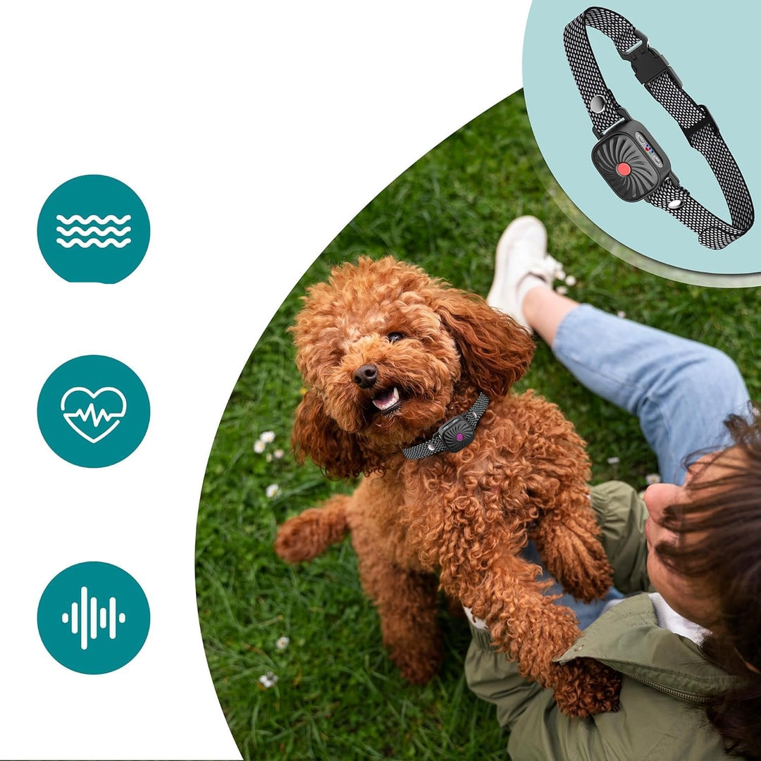 QuietPaw | Anti-Bark Collar for Immediate Calm and Comfort