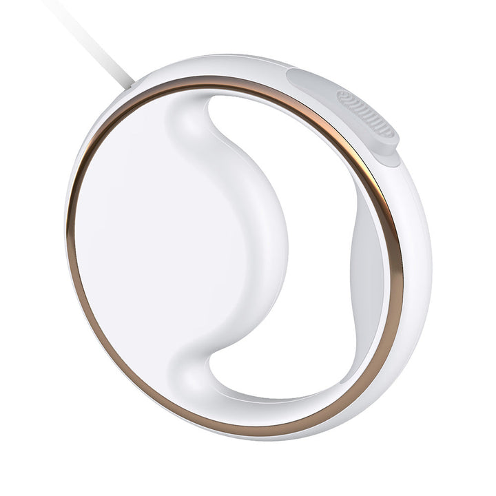 LeashLite | USB Rechargeable Leash for Dog Owners