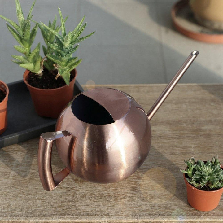 FlowStream - Slim Watering Can with Precise Spout - Durable Metal Watering Can for Houseplants