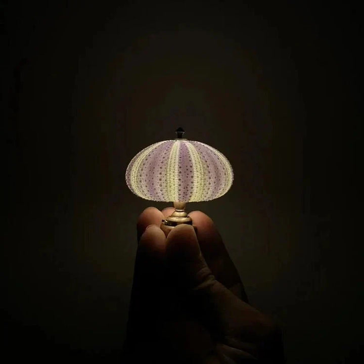 SeaGlowCraft – DIY Night Light with Sea Urchin Ambient Light