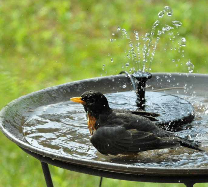 Solar Garden Bird Fountain - Eco-Friendly Design for Your Garden - Easy Installation and Maintenance