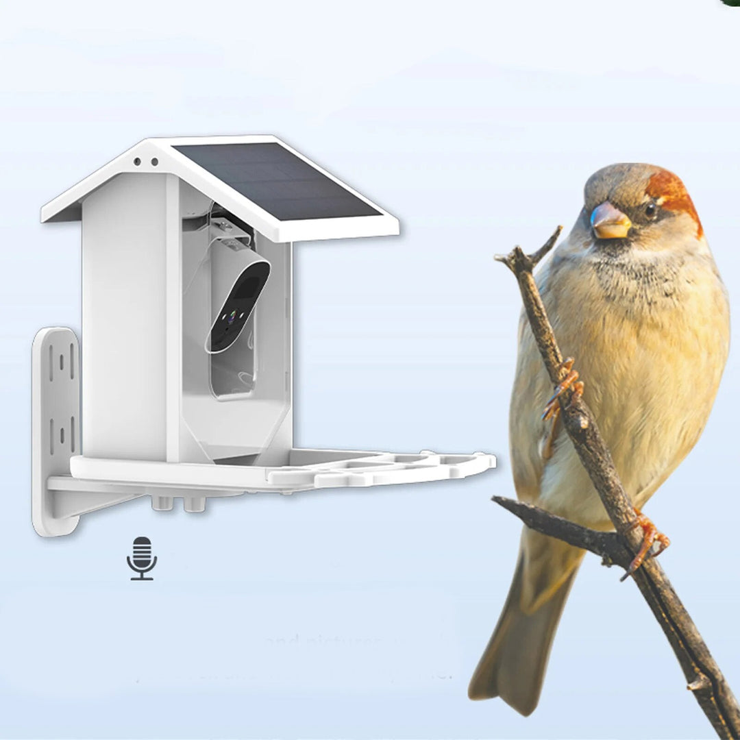 BirdWatch Advanced Bird Feeder - Recognizes Over 16,000 Bird Species - Solar-Powered