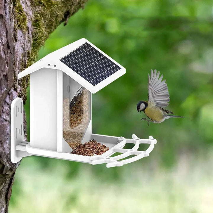 BirdWatch Advanced Bird Feeder - Recognizes Over 16,000 Bird Species - Solar-Powered