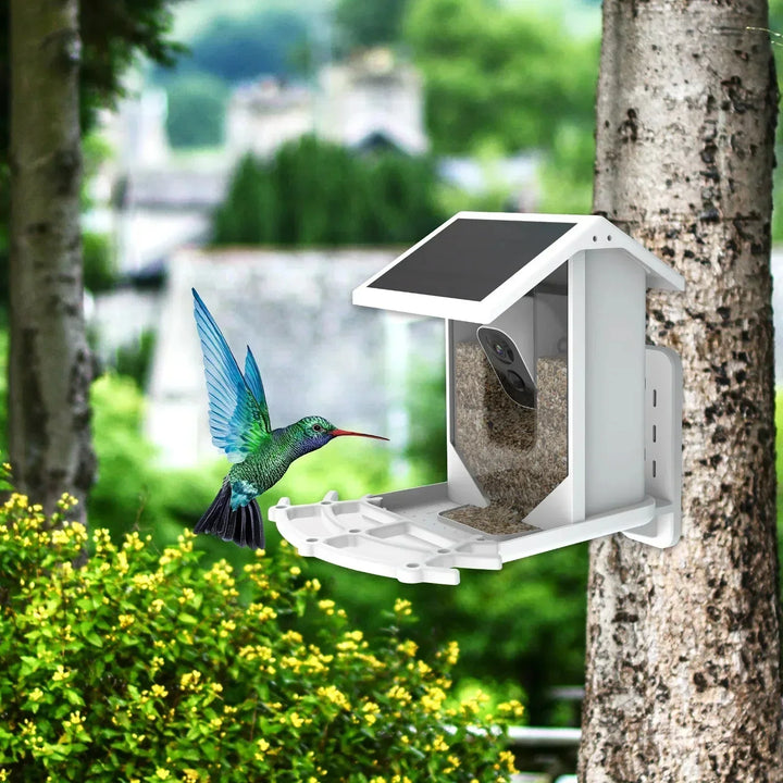 BirdWatch Advanced Bird Feeder - Recognizes Over 16,000 Bird Species - Solar-Powered