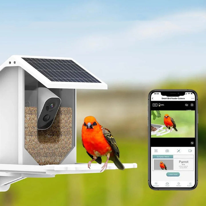 BirdWatch Advanced Bird Feeder - Recognizes Over 16,000 Bird Species - Solar-Powered