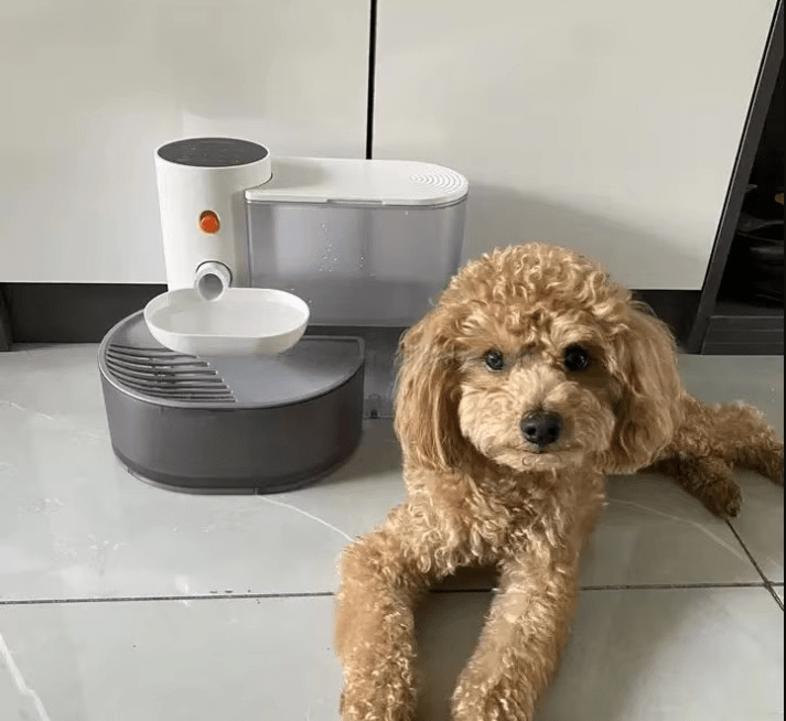 PetFresh | 1.8L Wireless Water Fountain for Healthy Hydration