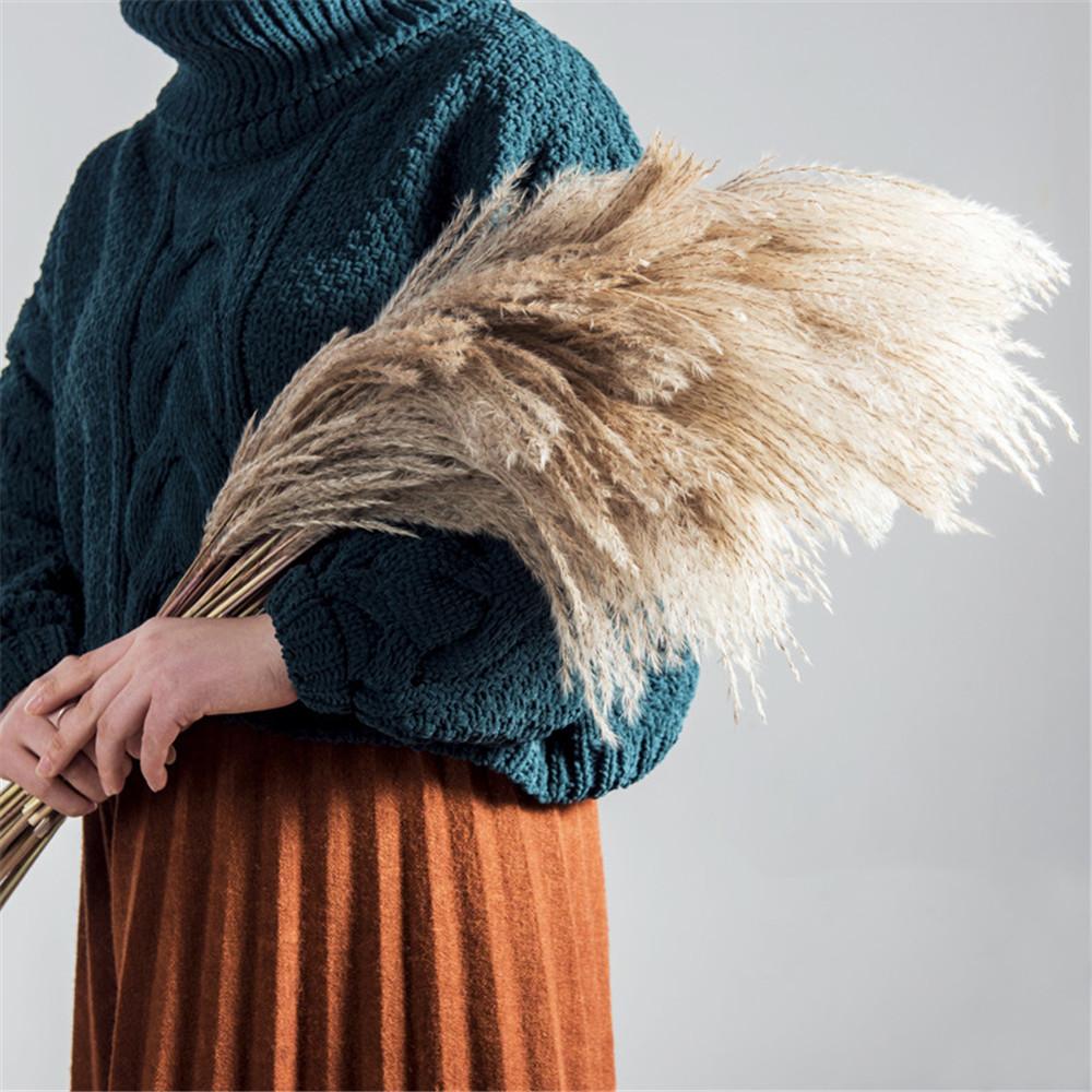 PampasLuxe – Dried Pampas Grass for Elegant Interiors