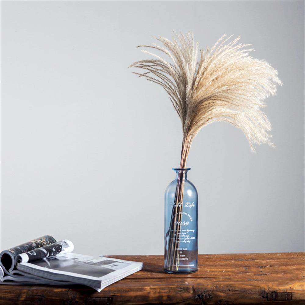 PampasLuxe – Dried Pampas Grass for Elegant Interiors