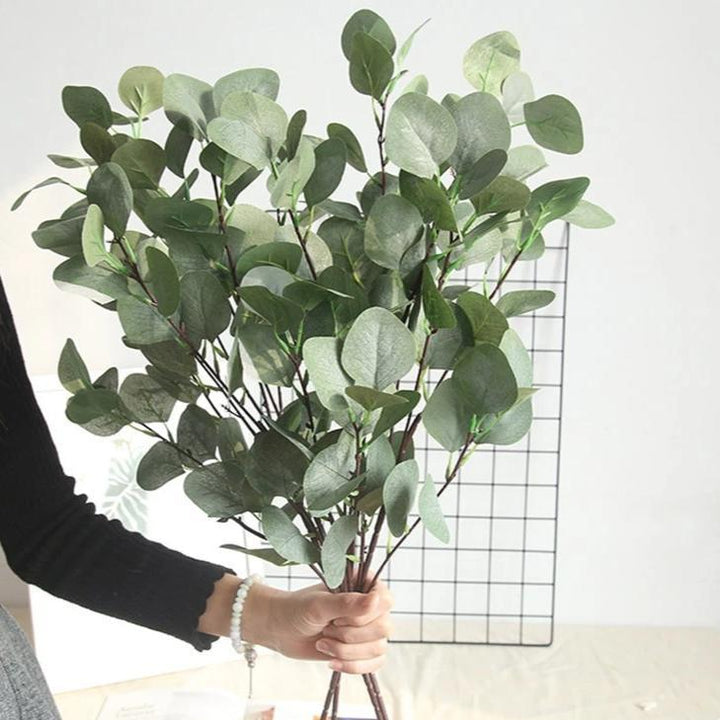 EucaLoom – Dried Eucalyptus Leaves for Natural Decoration