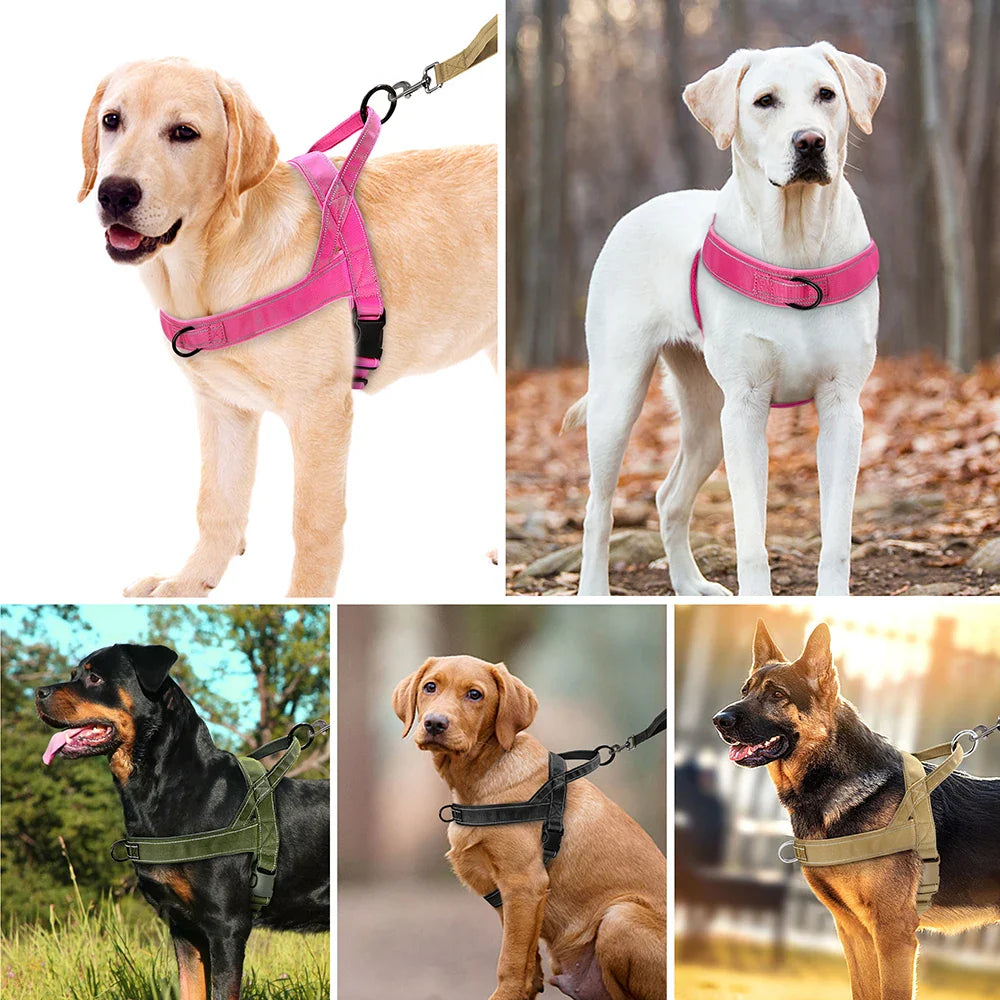 SafeStride | Nylon Training Harness for Small and Medium Dogs