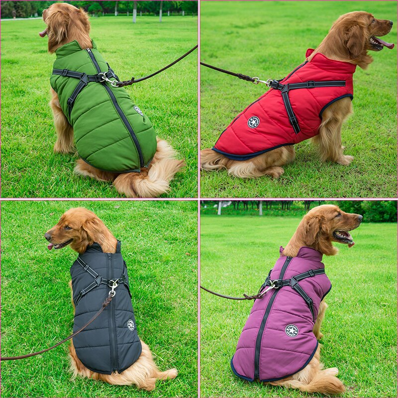 WinterPaw | Waterproof Dog Jacket with Insulation