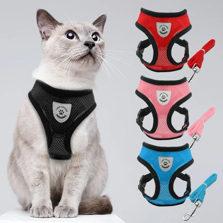 SafeWalk | Reflective Cat Harness and Leash Set