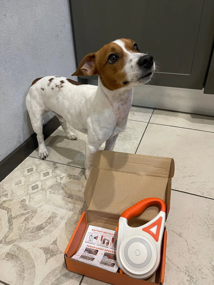 Ultimate Safety for Your Dog - LED Lighting and 5m Range - Night Walking Companion