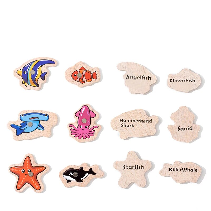 WaterPals | Magnetic Fish