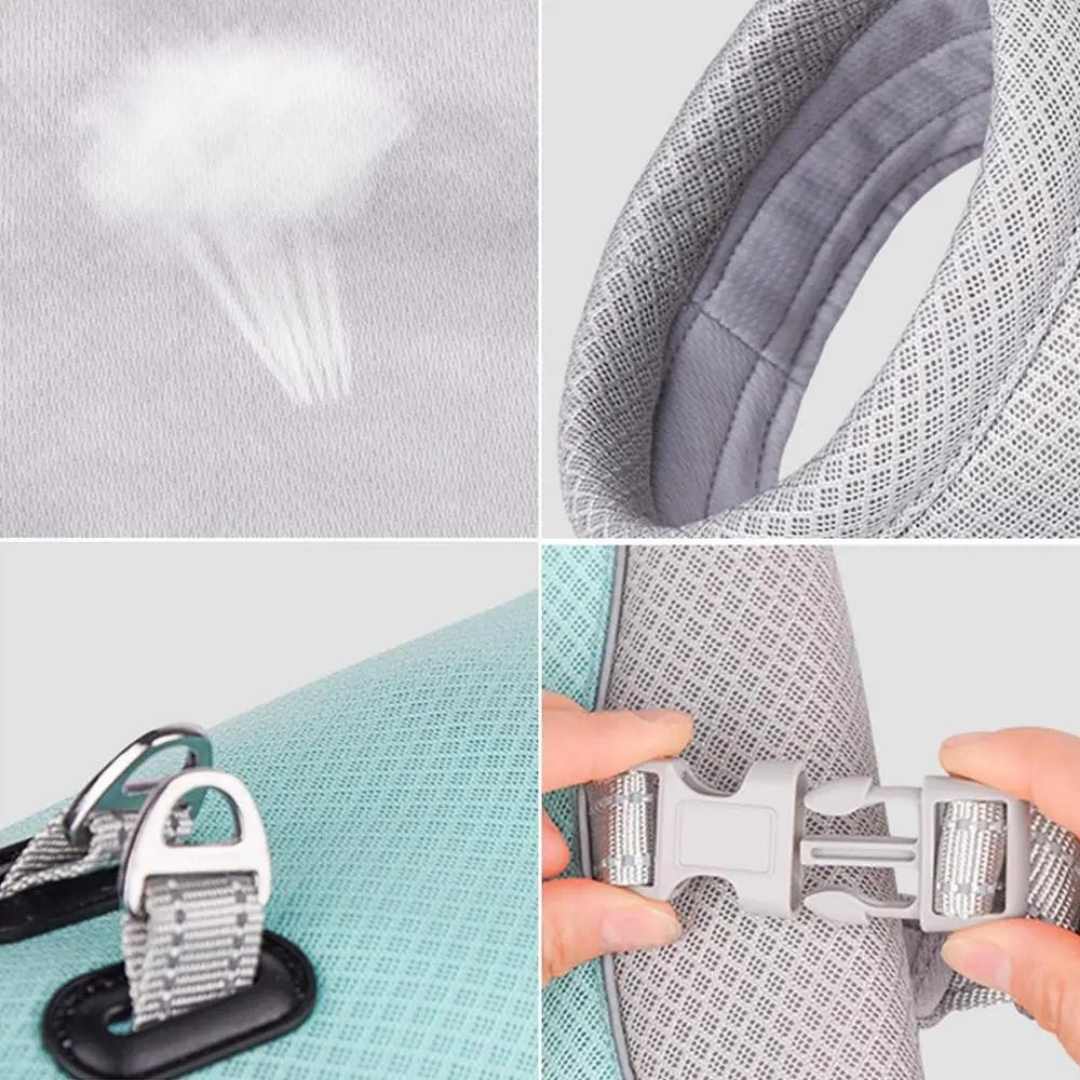 CoolPaw | Heat Protection for Dogs in the Summer