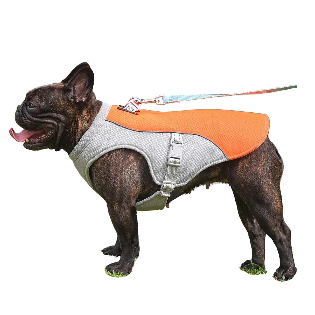 CoolPaw | Heat Protection for Dogs in the Summer