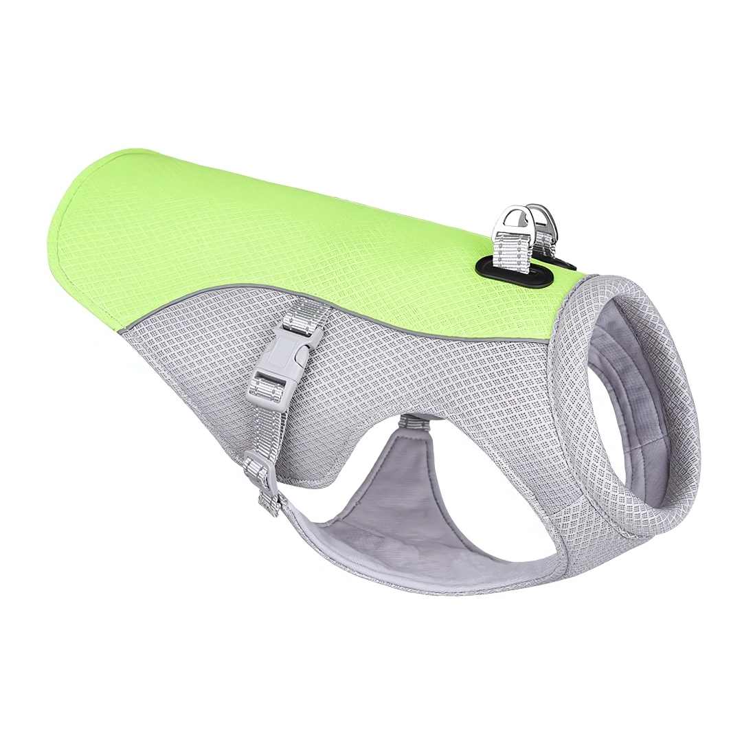 CoolPaw | Heat Protection for Dogs in the Summer