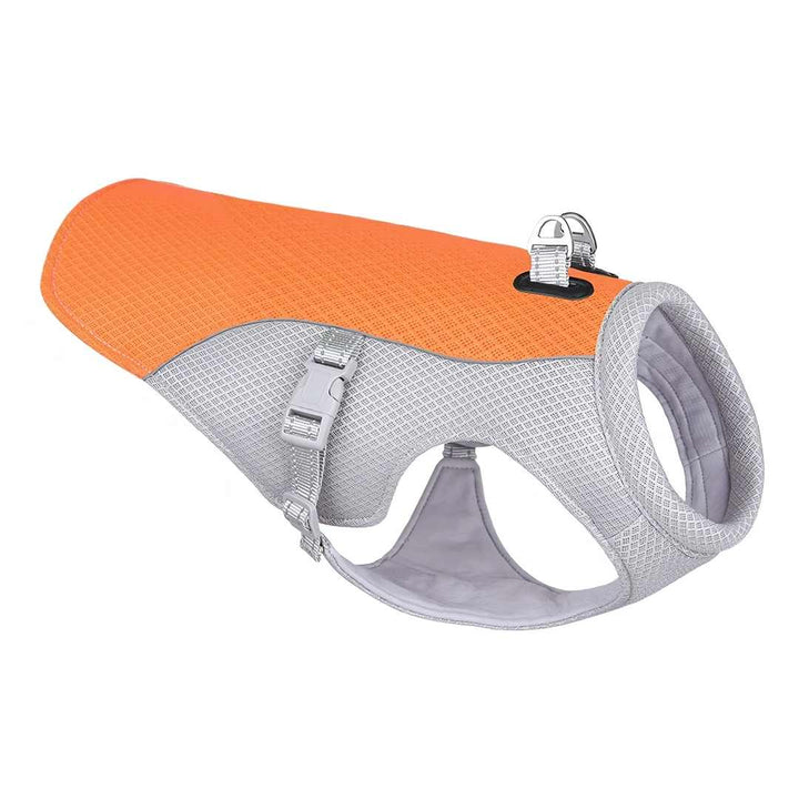 CoolPaw | Heat Protection for Dogs in the Summer