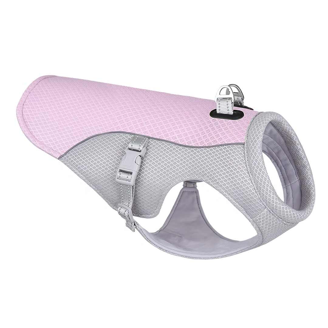 CoolPaw | Heat Protection for Dogs in the Summer