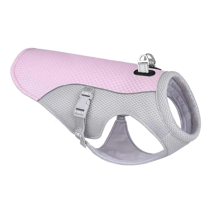 CoolPaw | Heat Protection for Dogs in the Summer