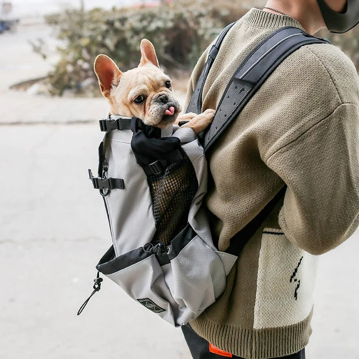 PetVoyage | Dog Backpack for Small and Medium Dogs with Comfort