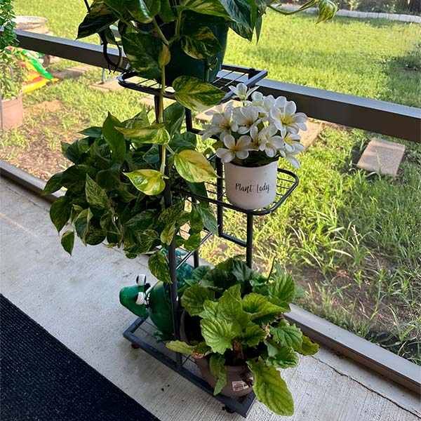 PlantLoom – Height Adjustable Plant Stand with 4 Levels