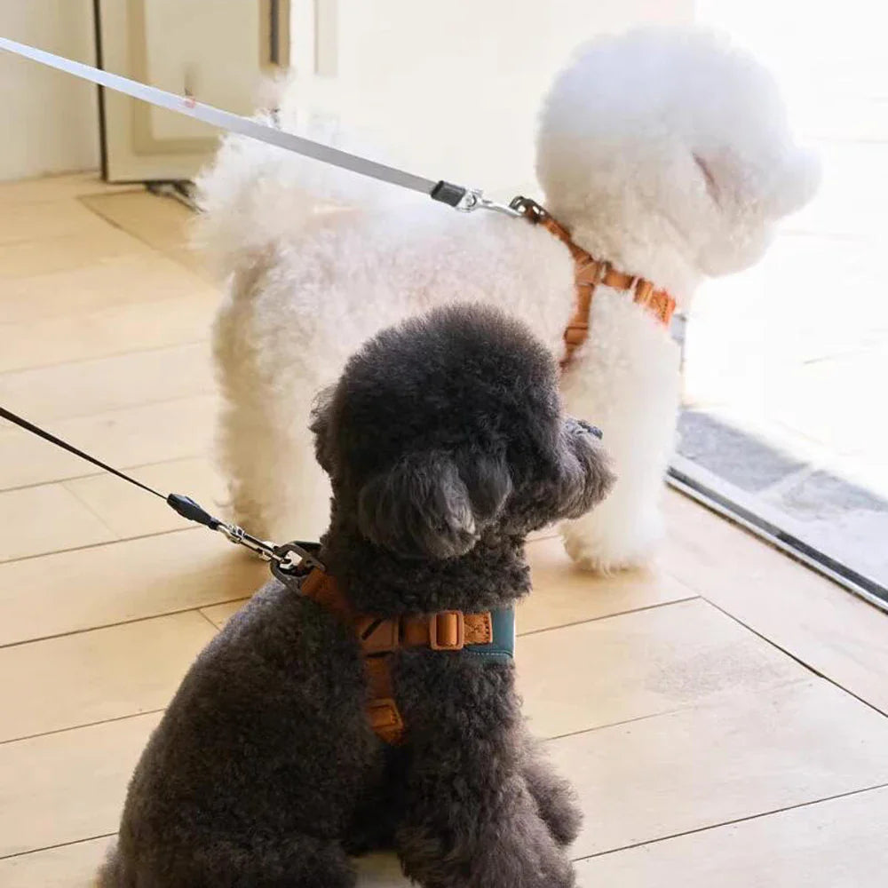 BearHugFit | Cute Adjustable Harness & Leash