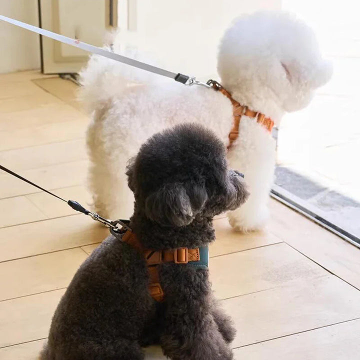 BearHugFit | Cute Adjustable Harness & Leash