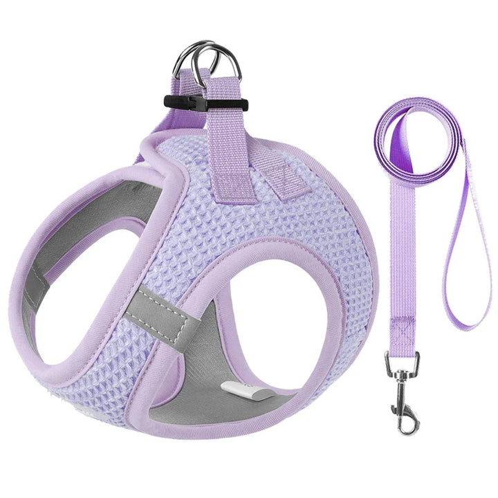 PawStrideFit | Reflective Harness & Leash for Pets