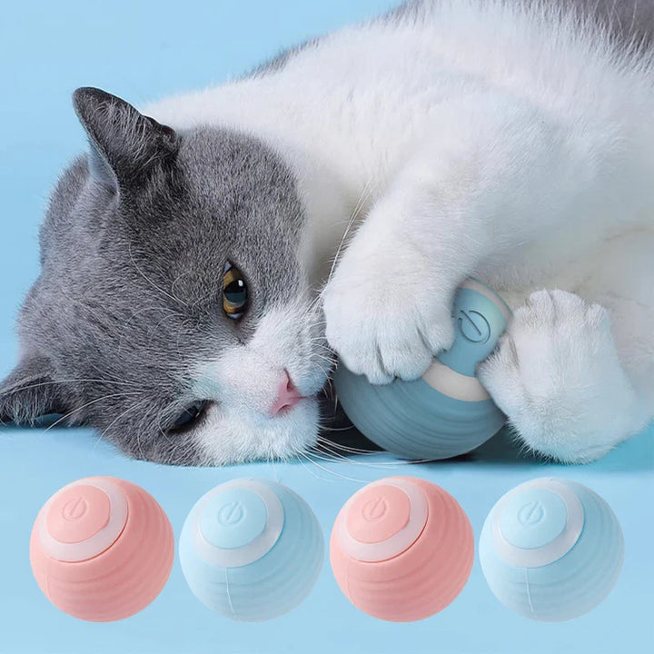 RollCat | Interactive Toy for Cats with Rechargeable Function