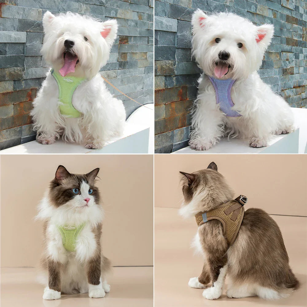 PuppyFit | Adjustable Harness with Leash for Cats and Small Dogs