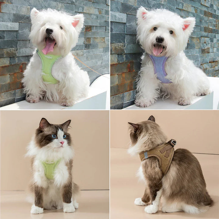 PuppyFit | Adjustable Harness with Leash for Cats and Small Dogs
