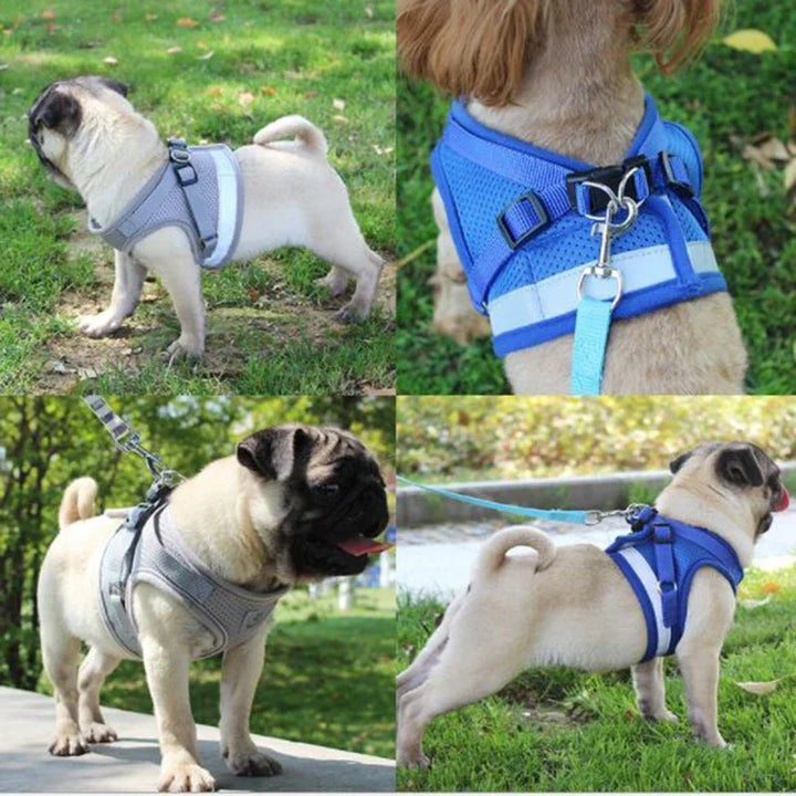 SnugWalk | Mesh Harness and Leash for Comfortable Walks