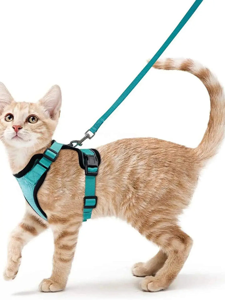 CatVoyage | Soft and Safe Walking Harness